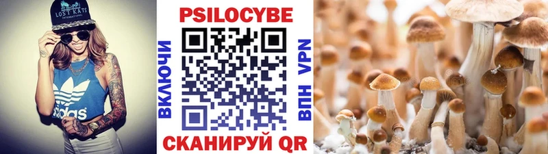 ссылка на мегу рабочий сайт Дзержинский Галлюциногенные грибы GOLDEN TEACHER