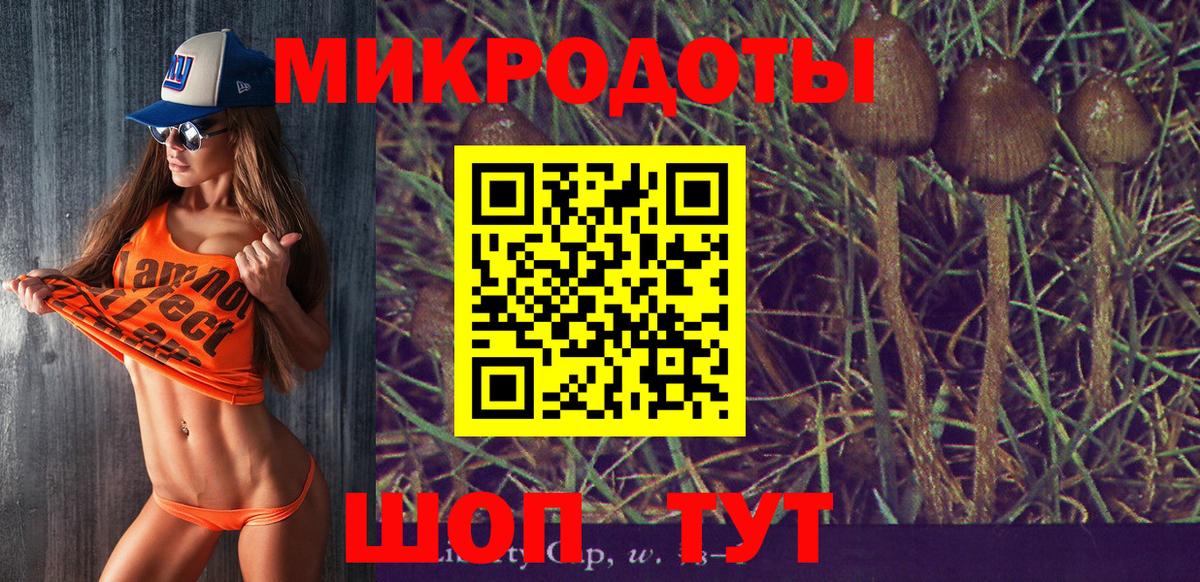 Галлюциногенные грибы Magic Shrooms Дзержинский