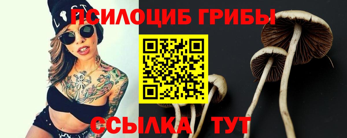Дзержинский  Галлюциногенные грибы ЛСД  Псилоцибиновые грибы MAGIC MUSHROOMS  Вход с VPN 