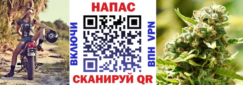 Бошки марихуана тримм  сайты даркнета телеграм  Дзержинский 